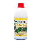 Murex P
