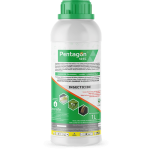 Pentagon 50EC