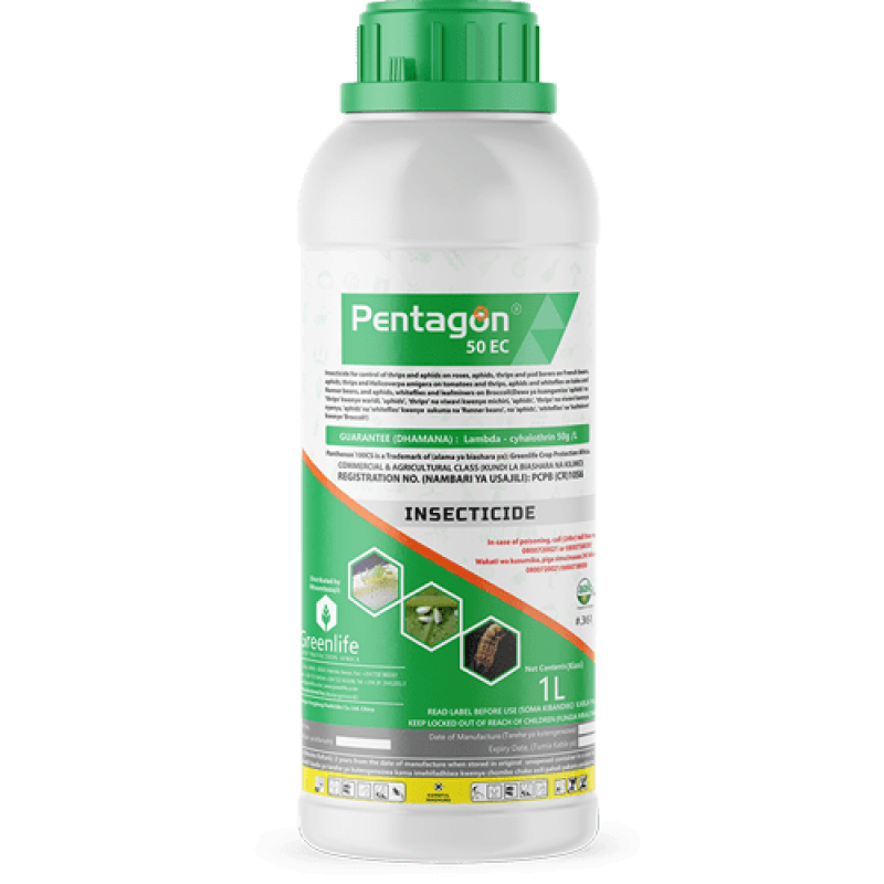 Pentagon 50EC