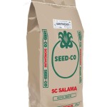 SC Salama Soya Bean