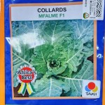 MFALME F1 (COLLARDS)