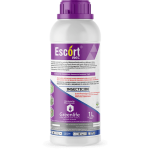 Escort 19EC