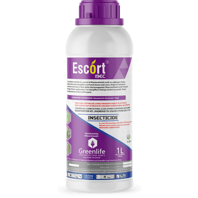 Escort 19EC