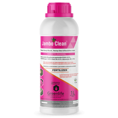 Jambo Clean