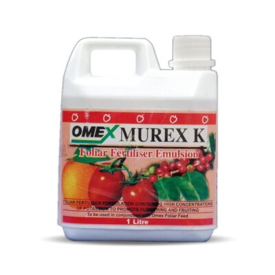 Murex K