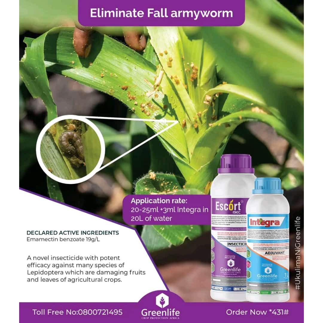 Insecticides