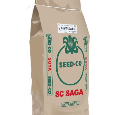 SC Saga Soya Bean