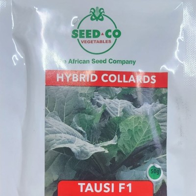 Tausi F1